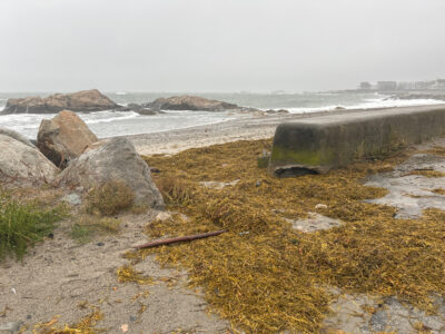 Scituate, MA