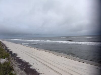 Patchogue, NY