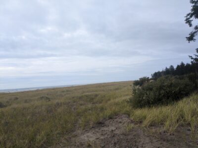 Grayland, WA