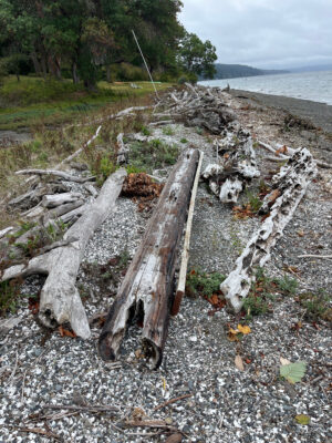 Bainbridge Island, WA