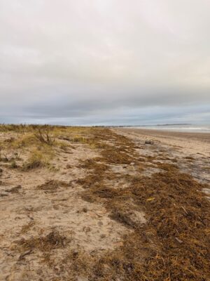 Duxbury, MA