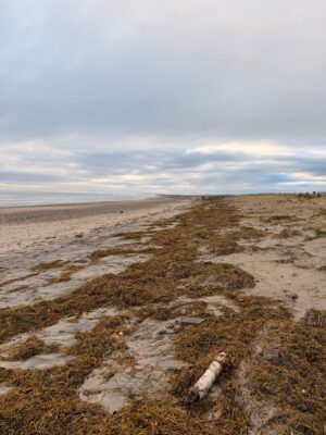 Duxbury, MA