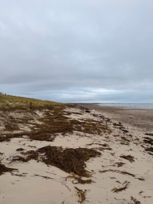 Duxbury, MA