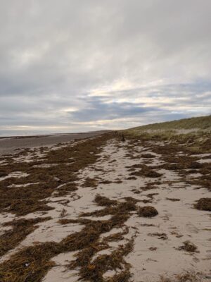 Duxbury, MA