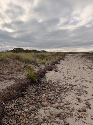 Duxbury, MA