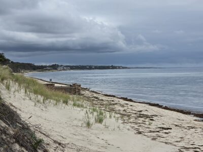 Brewster, MA