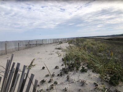 Sandwich, MA