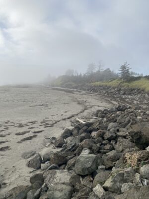Grayland, WA