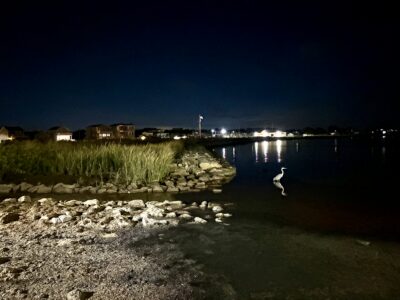 Patchogue, NY