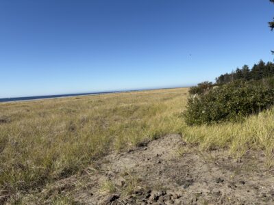 Grayland, WA