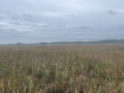 Grasonville, MD