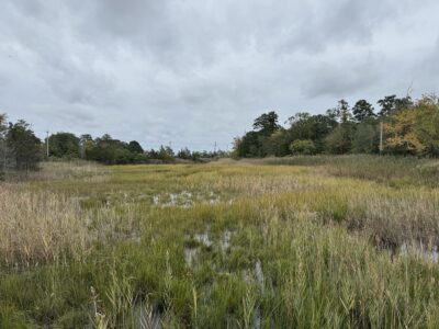 Little Egg Harbor Township, NJ