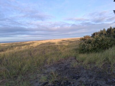 Grayland, WA