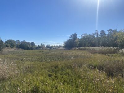Little Egg Harbor Township, NJ