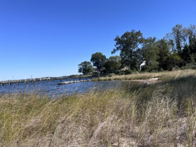 Arnold, MD