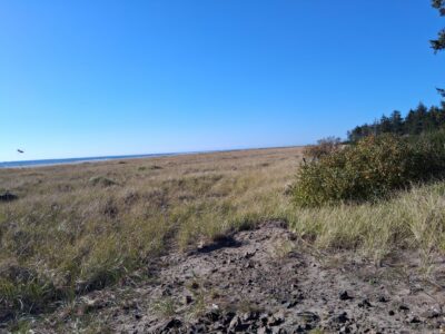 Grayland, WA